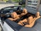 2021 BMW 4 Series 430i